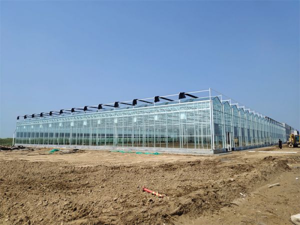 大跨度玻璃溫室在農業(yè)生產(chǎn)